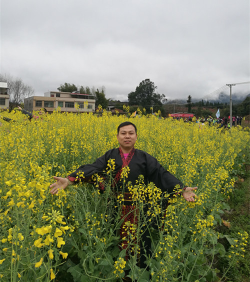 意外惊喜油菜花