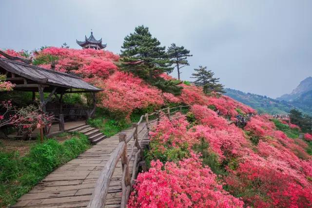 风里，雨里，在等你